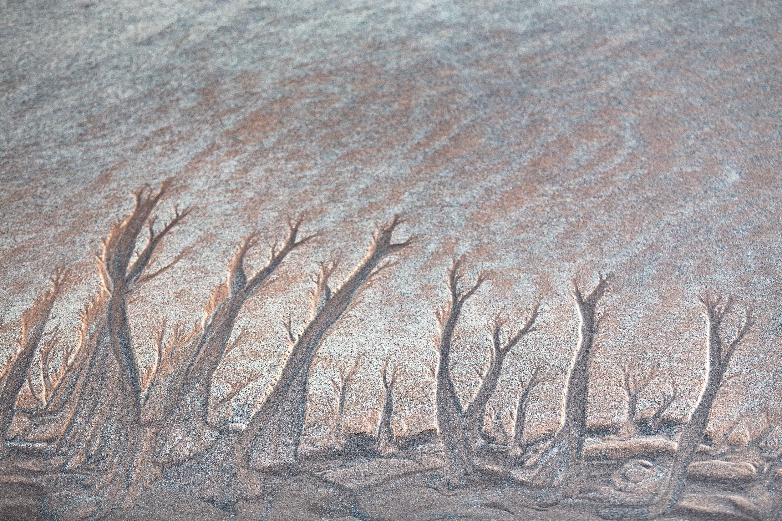 EXPOSICIÓ FOTOGRAFIA DE NATURA DE LES BALEARS