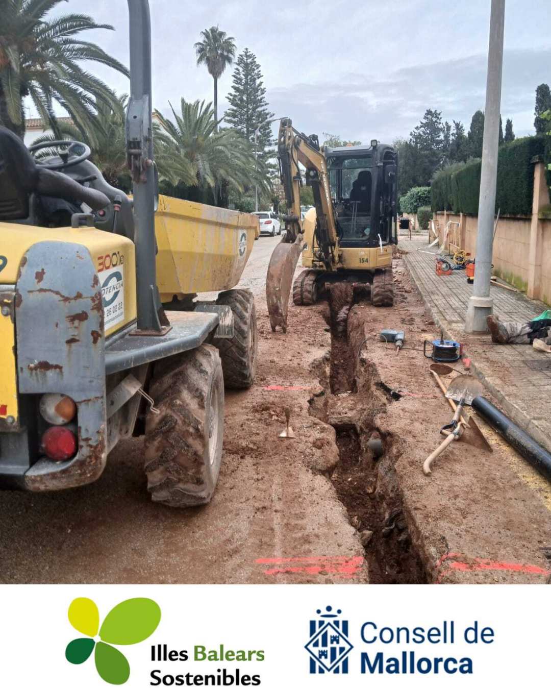 Foto novedad