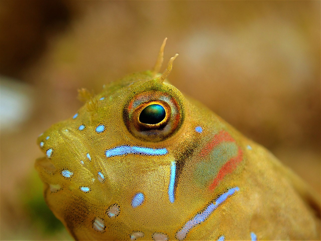 EXPOSICIÓ DE FOTOGRAFIA Viure de cara a la mar