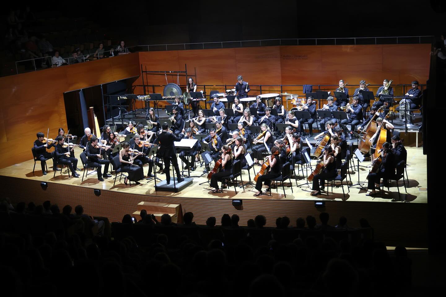 Melodies èpiques: l'art del cinema en concert